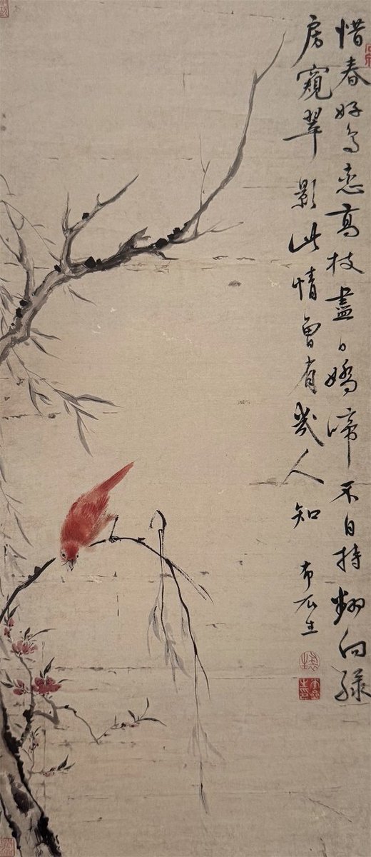 《高枝好鸟图》描绘一只通体朱红的鸟儿站在红桃碧柳之间，画风清丽雅致。柳树枝叶萧疏，迎风摇扬；下方两三枝桃花灿然绽放，秀媚娇妍；鸟儿立于柳树枝头，俯身下探，双目圆睁，嘴巴大张，急促啼鸣，像是被树下的异常景象所吸引。#书画里的中国#天津博物馆