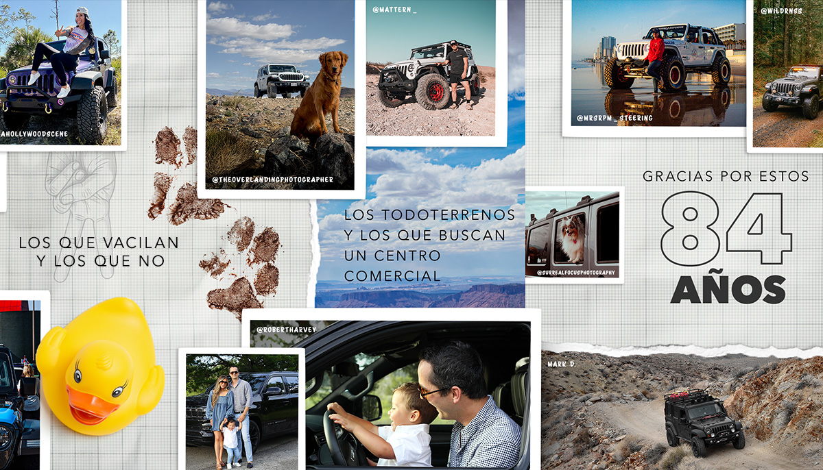 ¡Estamos de aniversario! 🎉​

Y no sería lo mismo sin ti. Déjanos en los comentarios tu mejor recuerdo Jeep® 4x4.​

Queremos revivir esas historias que nos hacen vibrar contigo. 💚

#Jeep #JeepFamily #HappybirthdayJeep