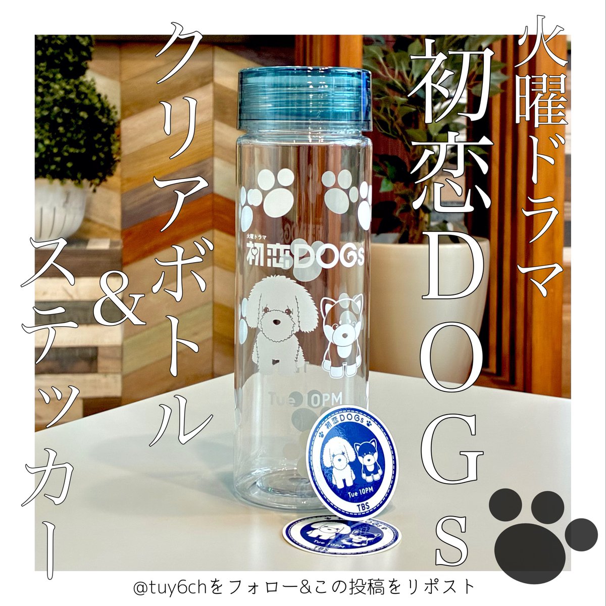 *⋆｡🎁TUYプレゼントキャンペーン🎁｡⋆*

／
🐶ドラマ  #初恋DOGs オリジナルグッズを
🐾抽選で⑤名様にプレゼント！
＼

<a href="/tuy6ch/">TUYテレビユー山形🍜10/15『ラーメン三国志』真のラーメン県は…</a> をフォロー&amp;この投稿をリポストで応募完了👌✨
たくさんのご応募お待ちしております！
ドラマをさらに盛り上げていきましょう📣🪇

✅締切　7月18日(金)