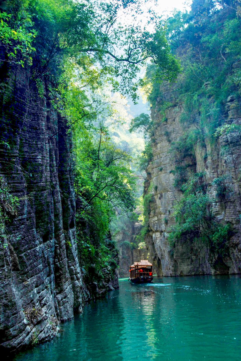 Green is our colour. 🙌
Peaceful, fresh, and full of life — just like the views along the #YangtzeRiver 💚
What’s yours? 🤓 
Let us know: bit.ly/3XWrdHH

#ChinaTravel #LuxuryCruise #CenturyCruises #NatureVibes #CruiseLife