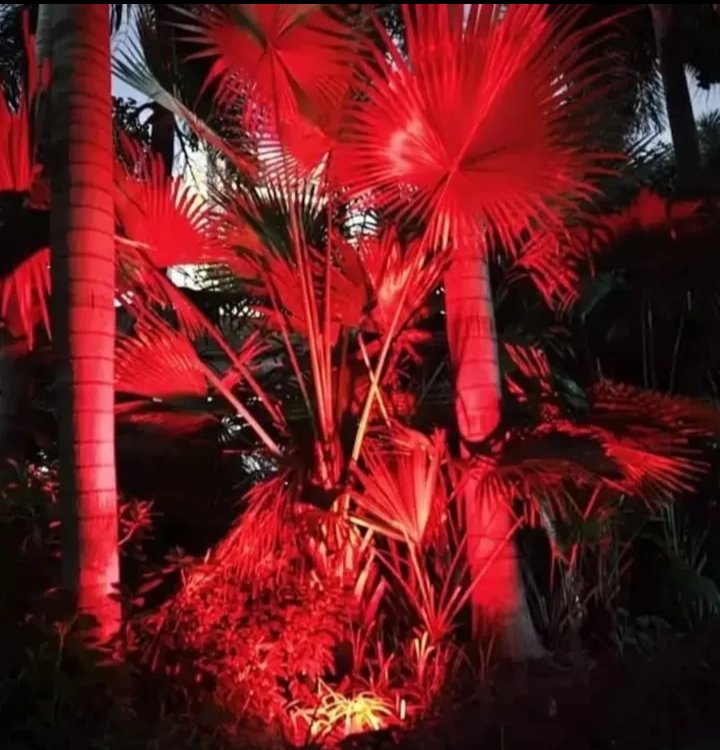 ClasicEquipment's tweet image. Multicolor Solar Floodlights. 
Comes with a Remote to choose the color you prefer.
60w - ksh 6,500.
100w - 8,500.
200w -  10,000.
300w - 11,500.
800w -  14,500.

 0721275514. 

#Solarfloodlights #multicolour  #garden #gardenlights #restaurant #outdoorlighting #decorlighting