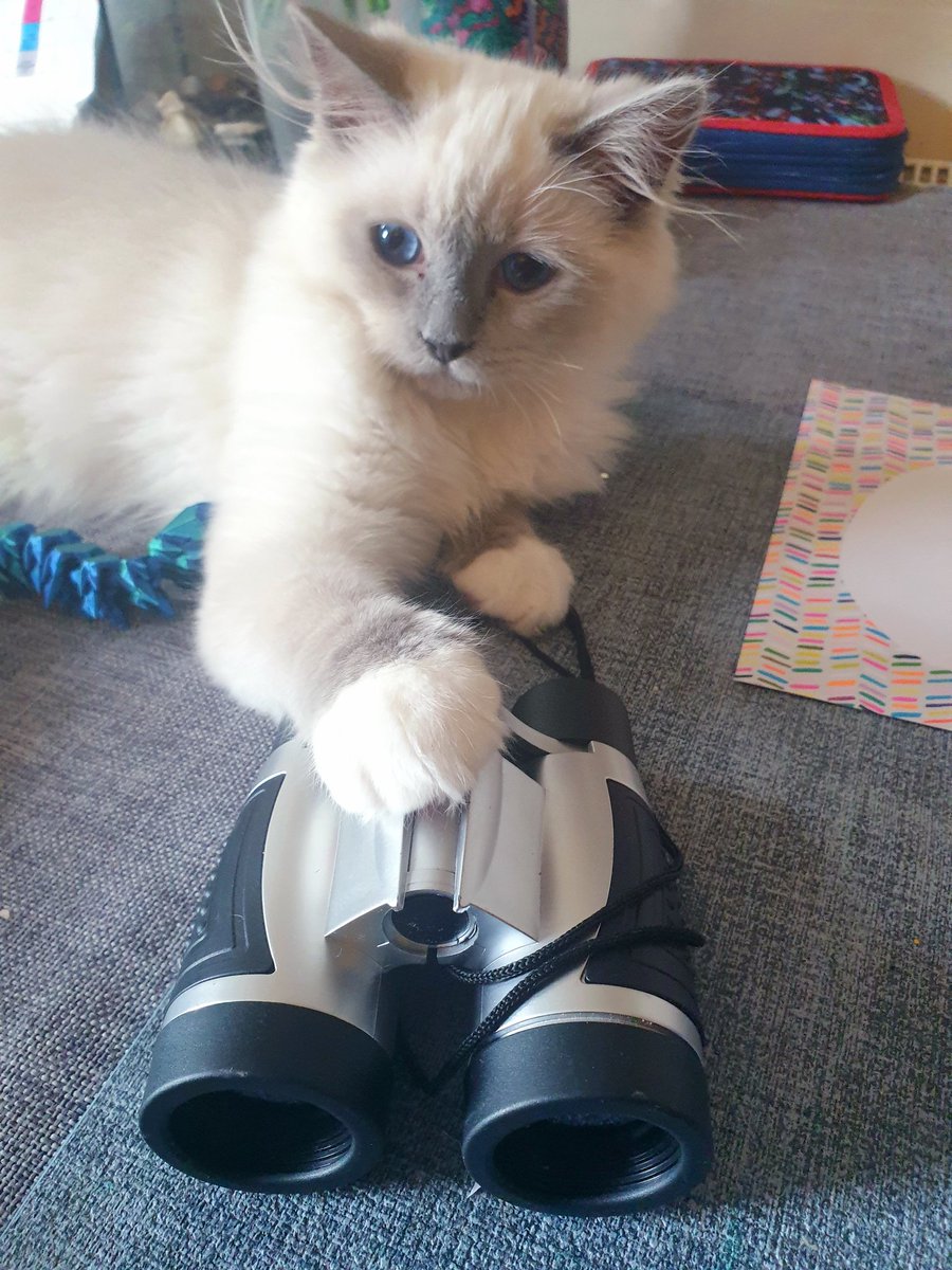 International superspy