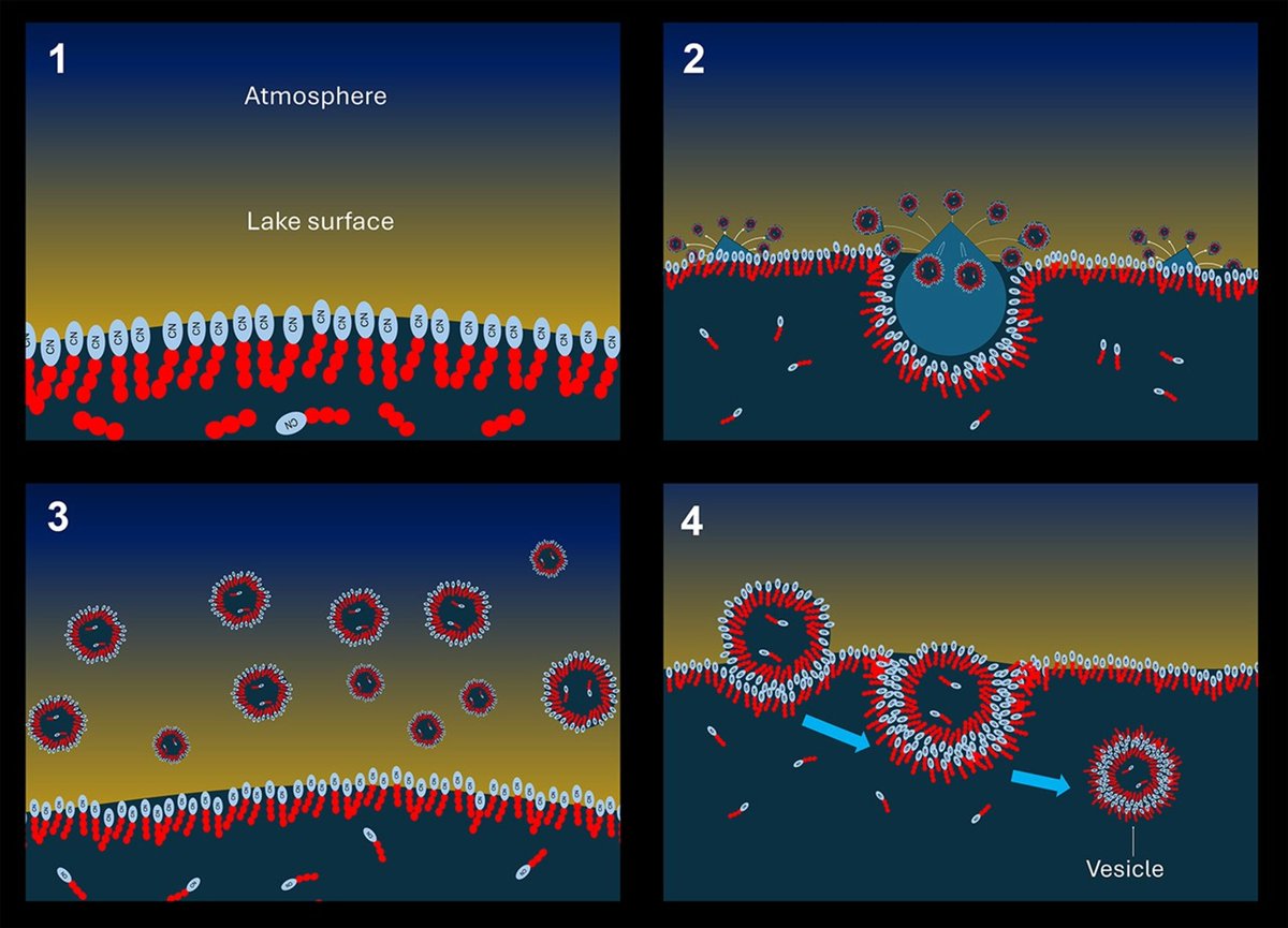 DanielPomarede's tweet image. NASA Research Shows Path Toward Protocells on Titan
Cell-like compartments called vesicles could form naturally in the lakes of Saturn’s moon, based on our current knowledge of the moon’s atmosphere and chemistry.
➡️ science.nasa.gov/science-resear…
➡️ doi.org/10.1017/S14735…