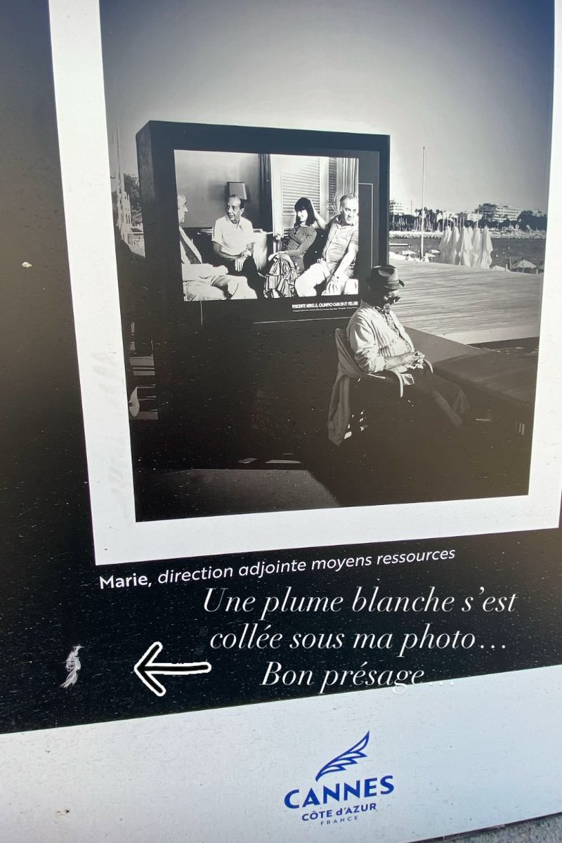Une plume blanche 🪶 s’est posée sous ma photo exposée sur le cours Félix Faure à ⁦<a href="/villecannes/">Cannes</a>⁩, signe de bon présage…?🤞