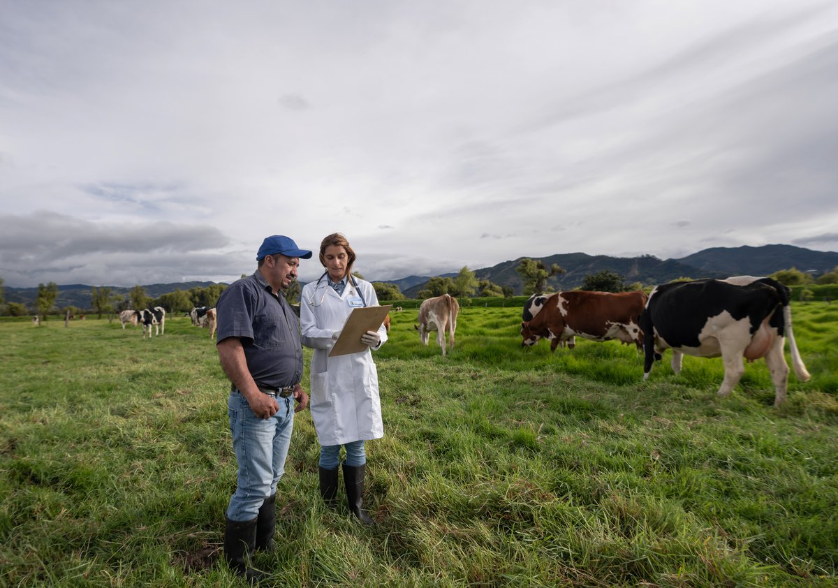 UniOfSurrey's tweet image. From disease prevention, ethical advice and a #OneHealthOneMedicine approach, vets are key to sustainable farming and animal welfare. 🔗surrey.ac.uk/news/expert-co…
#SustainableFarming #AnimalWelfare #VeterinaryMedicine