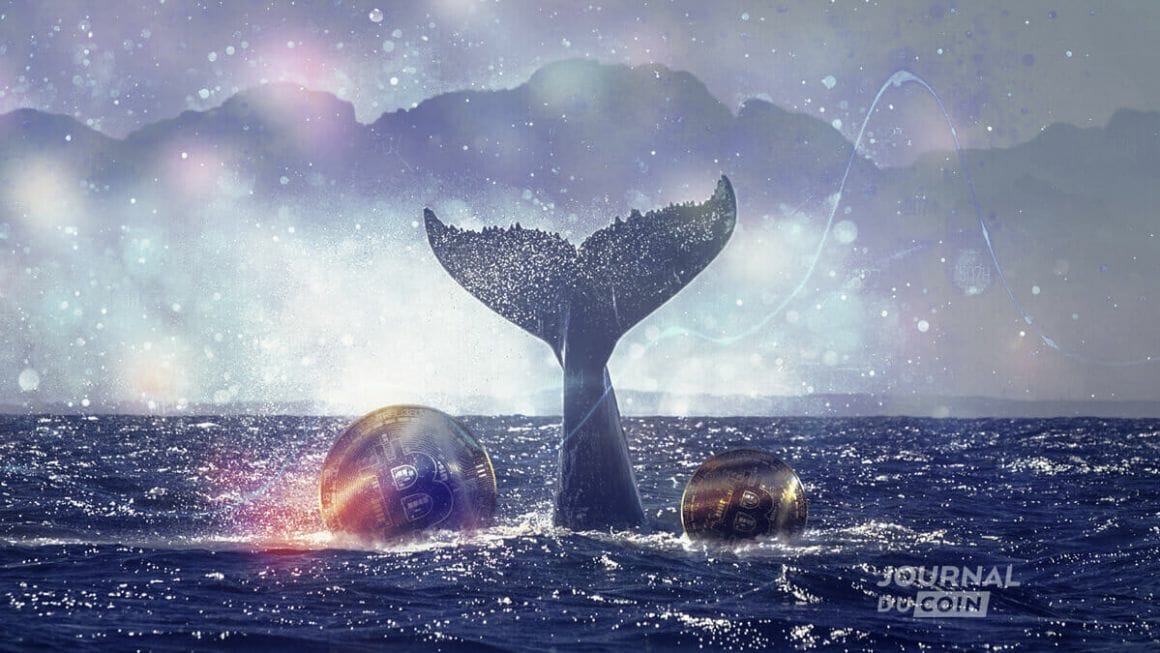 LeJournalDuCoin's tweet image. 🤔 La baleine aux 80 000 BTC transfère 28 600 $BTC (3,37 milliards $) vers Galaxy Digital, alimentant les spéculations sur une vente de ses bitcoins.
