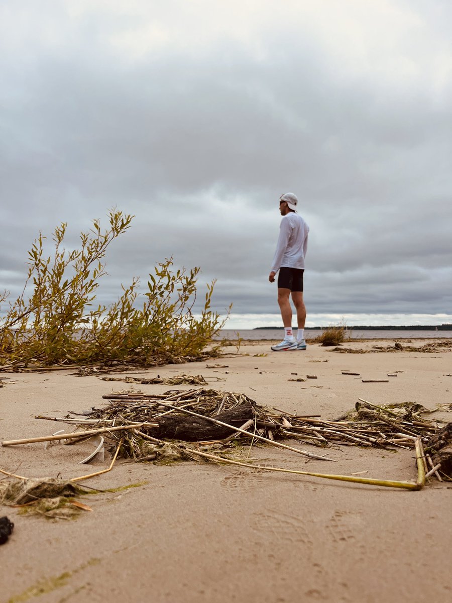 Середина лета сегодня… сколько кексов собрали???