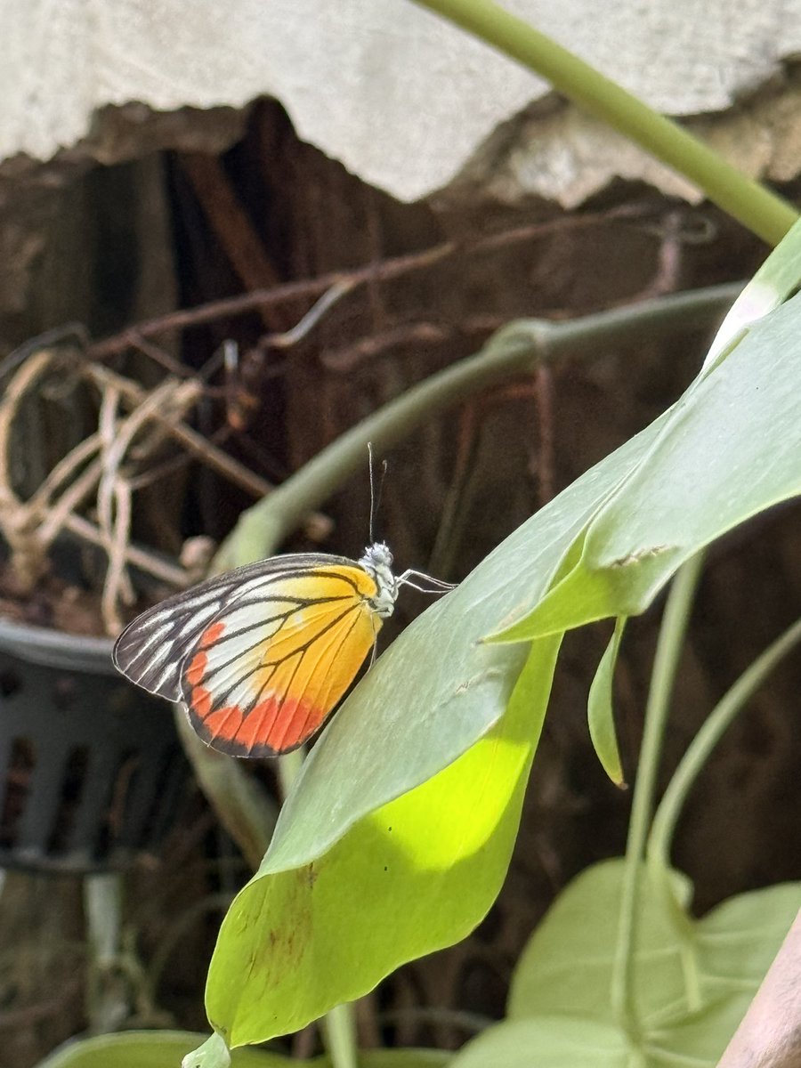 Manplayfun's tweet image. หาที่เขียวๆฮิลกาย