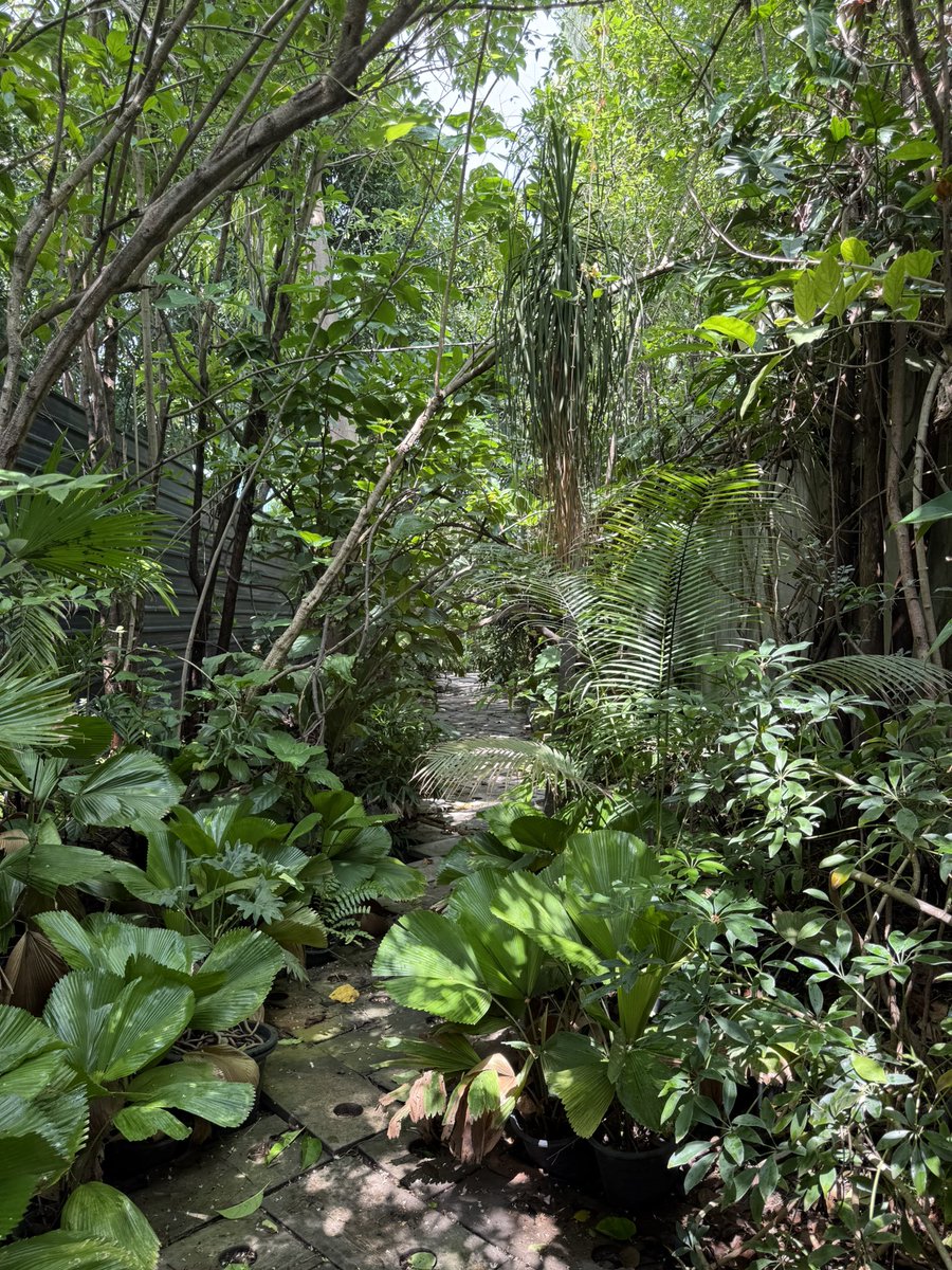 Manplayfun's tweet image. หาที่เขียวๆฮิลกาย