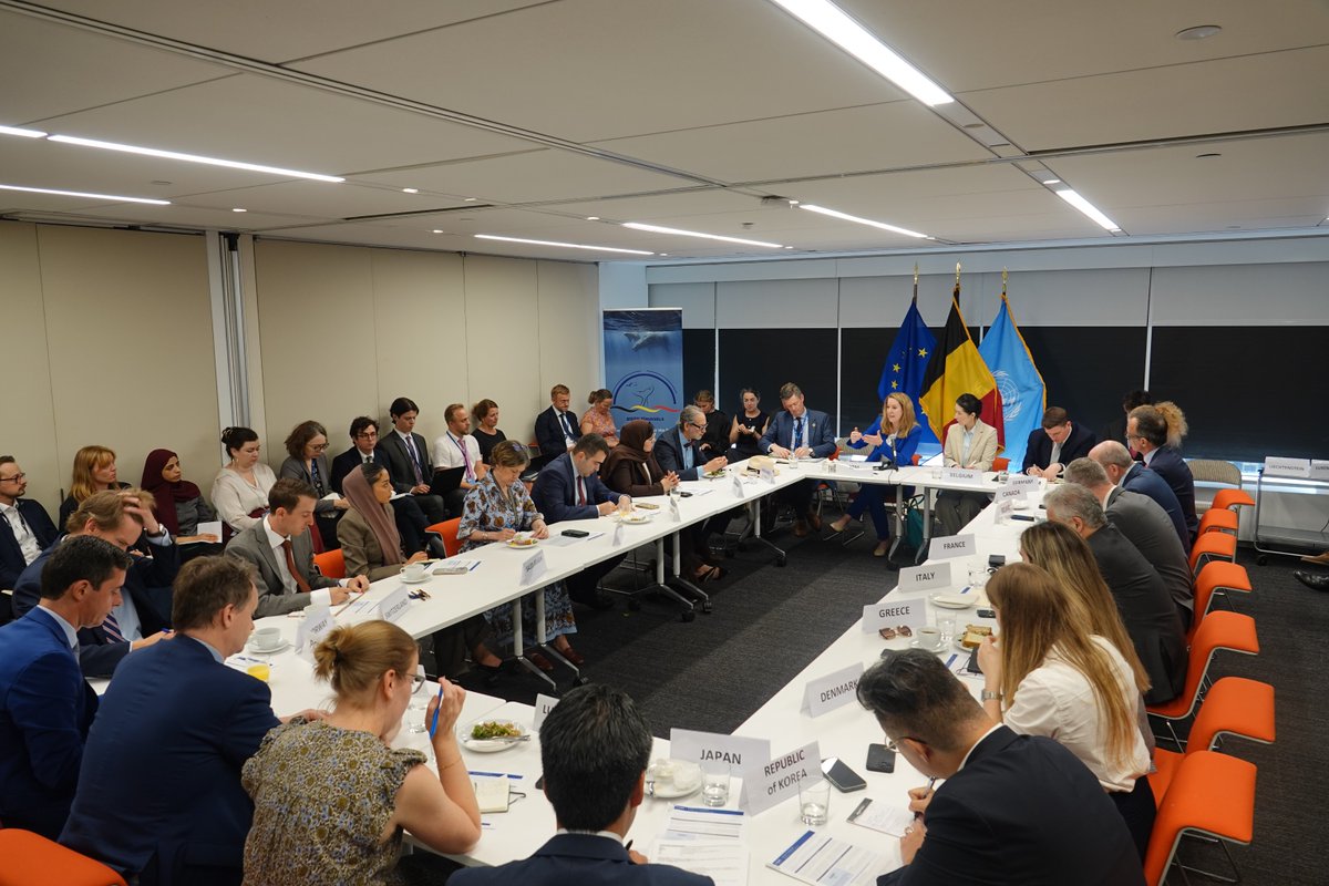 IOMchief's tweet image. Great dialogue in New York with Member States and humanitarian partners about life-saving aid for people in crises, and the need for long-term solutions for those displaced.
Thank you @BelgiumUN for hosting and convening.
