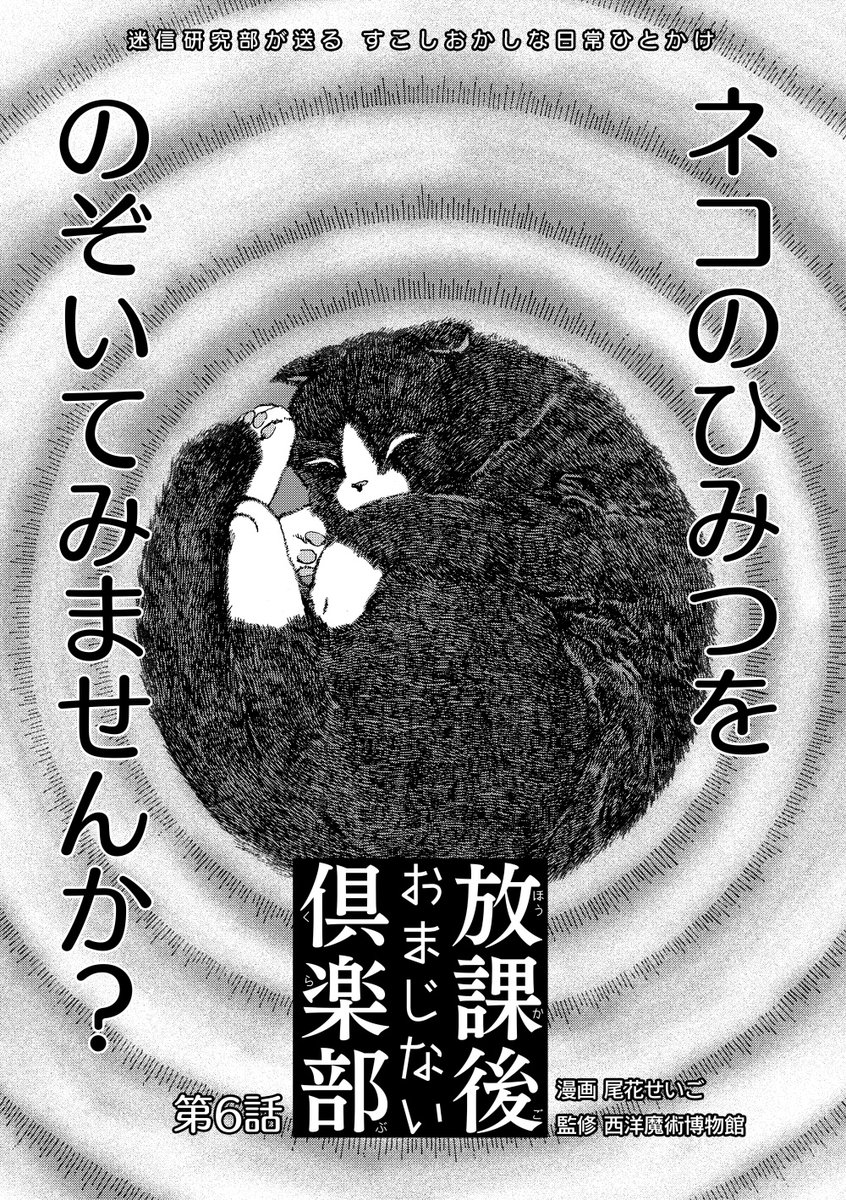 MuseeMagica's tweet image. 《拡散希望》 ウォーカープラスにて尾花せいご先生
@seishoobi
の『放課後おまじない倶楽部』第6話が公開されました。ついに登場するケットシー、フェアリーキャット、いわゆる「ふとりたおした猫」! パワースポットを占有する巨大ネコの勇姿に瞠目せよ!
walkerplus.com/article/127087…
