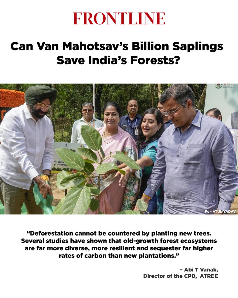 atree_org's tweet image. Every July, India plants millions of saplings as part of Van Mahotsav. The aim is to increase green cover, counter deforestation and raise awareness. This year alone, 1.46 billion saplings will go into the ground, including 7 million in Delhi and 350 million in Uttar Pradesh.…