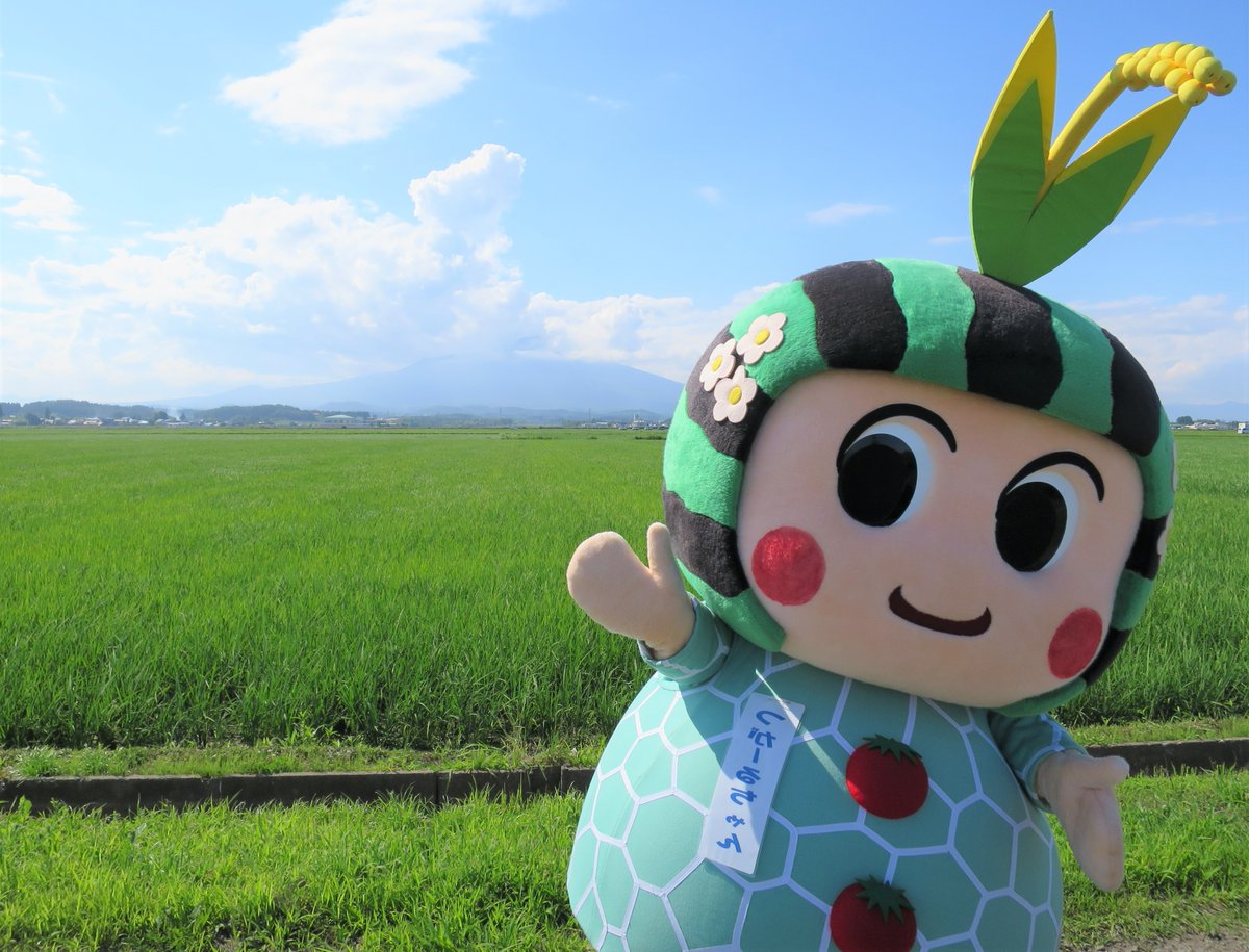 つがーるちゃんです（。∂◡∂。🍈）
追伸お知らせです♡

メロン試食販売のお手伝いで
今年も関西方面にお邪魔します!(^^)!

7月26日（土）10:00～14:00（予定）
イオンスタイル西宮今津店
です♡

この日は名古屋、西宮を行ったり来たり(#^^#)
美味しくできたメロン、
是非、食べに来てください♡