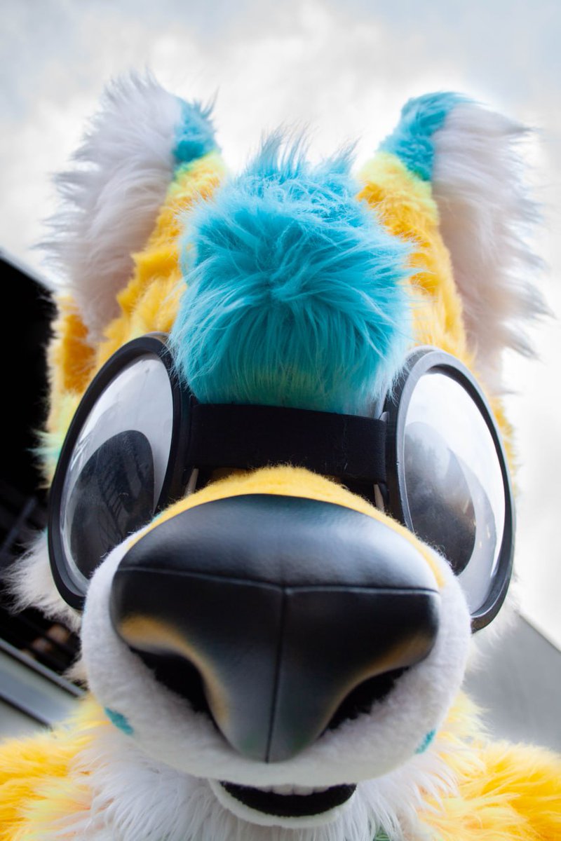 <a href="/NirdianLickyBoi/">Nirdian</a> My picture says otherwise :3