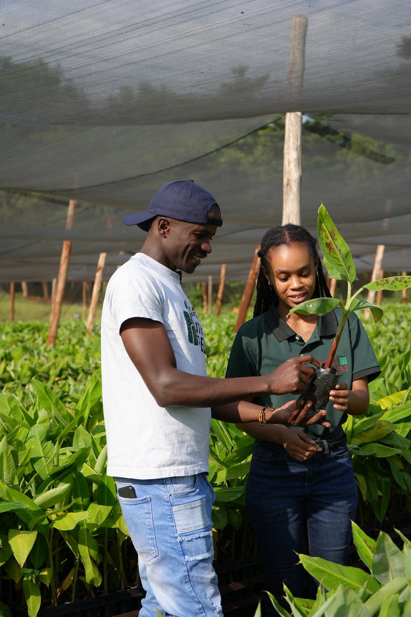 Seeing is believing.

Before you jump into any farming venture, visit a farmer who’s already doing it successfully. Farming is business not a trial and error game.

This week, my visit to Tanzania ranks as one of my best farm investments this year. I picked up new skills, fresh