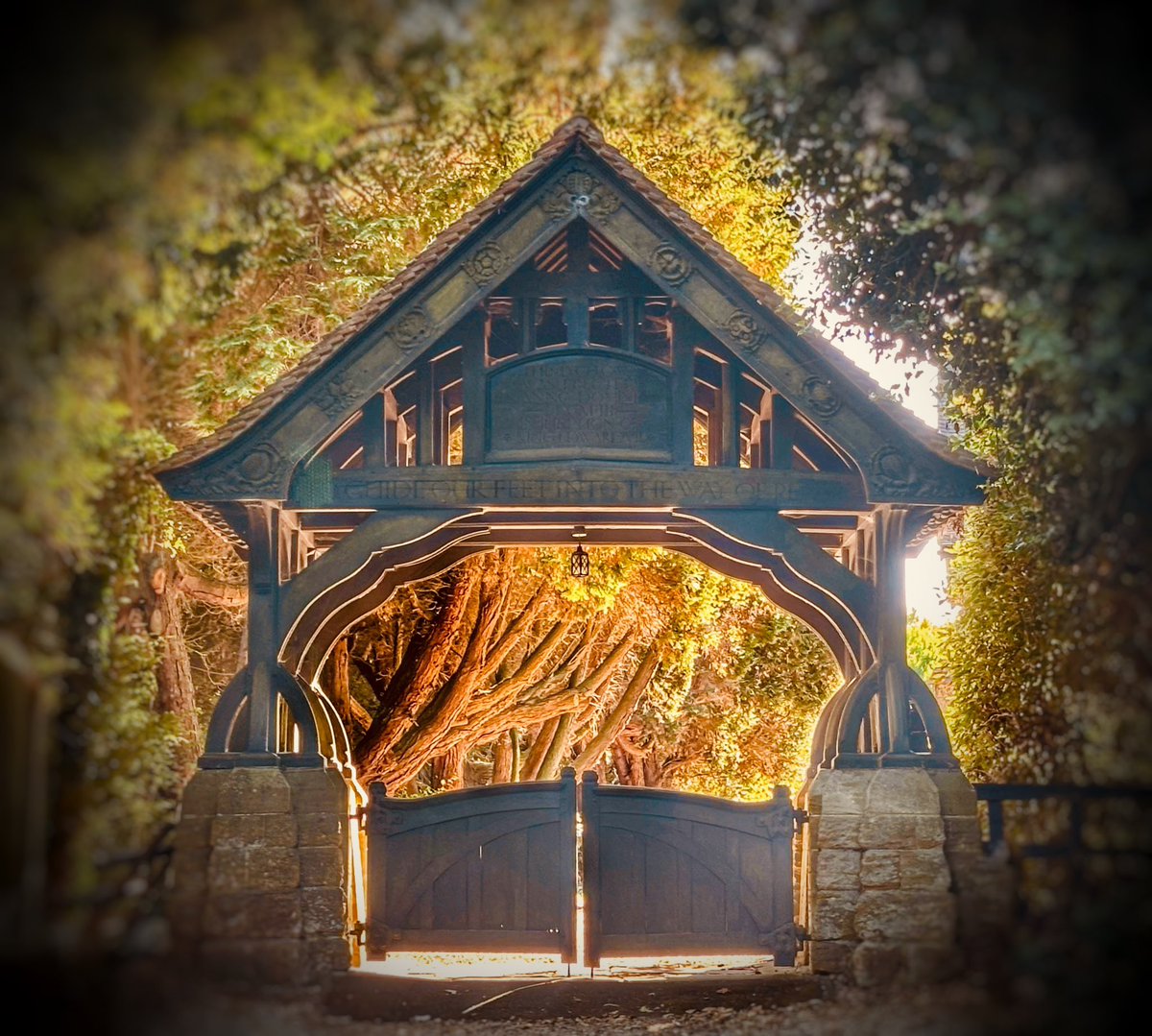 13Badgers "Matt Crow" tweet media