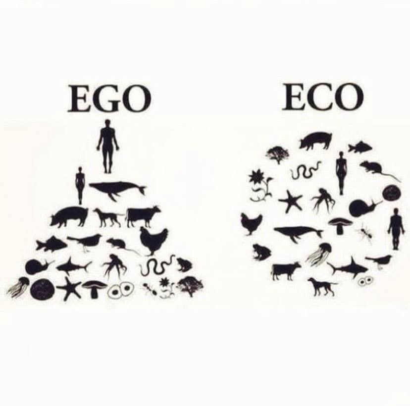 Reality 😞