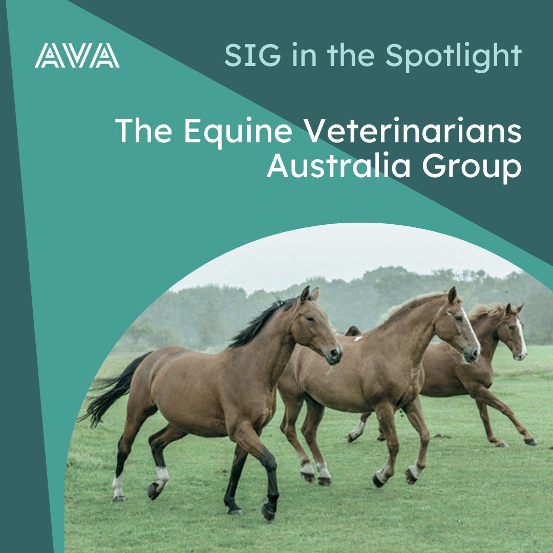 Australian Veterinary Association (@austvetassoc) on Twitter photo From the Bain Fallon Memorial Lectures & educational resources to emerging trends & key focus areas, the Equine Veterinarians Australia group is one busy SIG! 🐴 
Learn all about EVA from President, Assoc Prof Laura Hardefeldt: bit.ly/4lTpVGP From the Bain Fallon Memorial Lectures & educational resources to emerging trends & key focus areas, the Equine Veterinarians Australia group is one busy SIG! 🐴 
Learn all about EVA from President, Assoc Prof Laura Hardefeldt: bit.ly/4lTpVGP