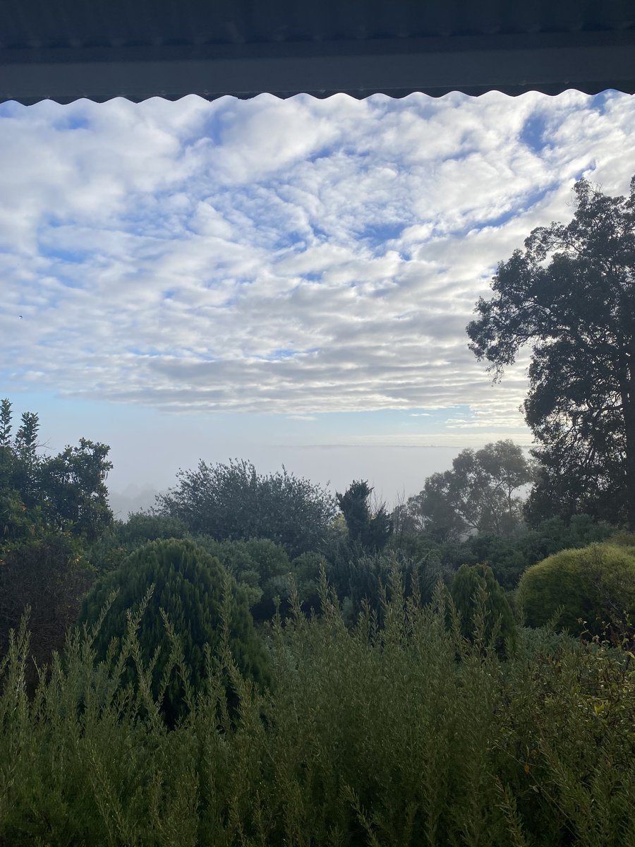 flourishmindss's tweet photo. @SirBarefoot I'm on the nice side of twitter. Have a photo from my holiday. https://t.co/9woOnf3SS3