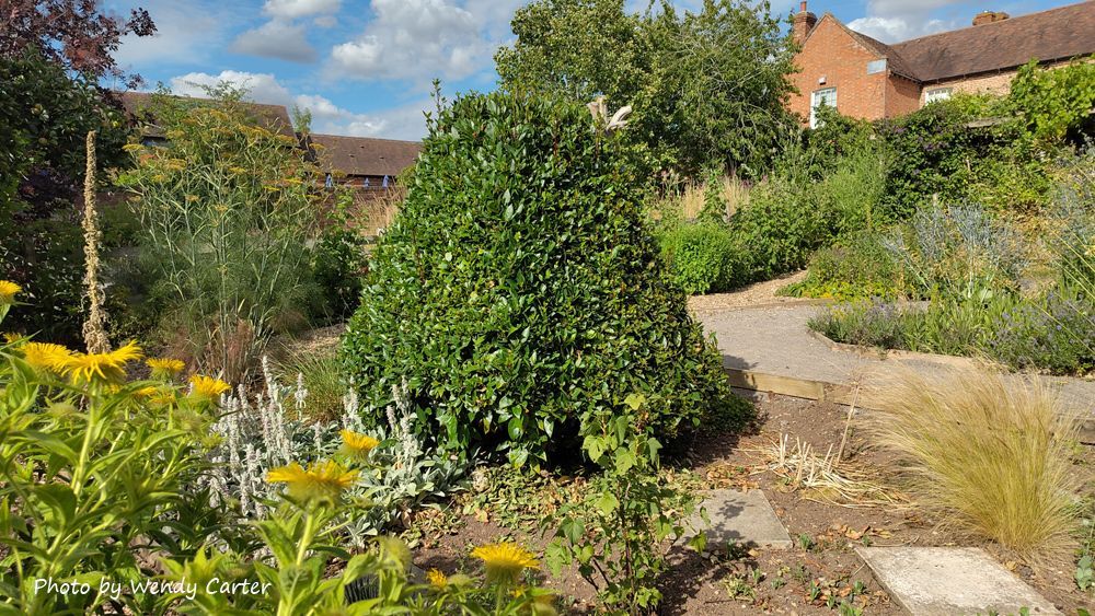 Join us this Thursday for an open day at #LowerSmiteFarm 🌸🐝🐞🦋

Meet our fabulous garden volunteers and take inspiration for your own patch at home. They'll be available between 10am and 1pm. It's free to come along but we'd really appreciate you booking so we know how many