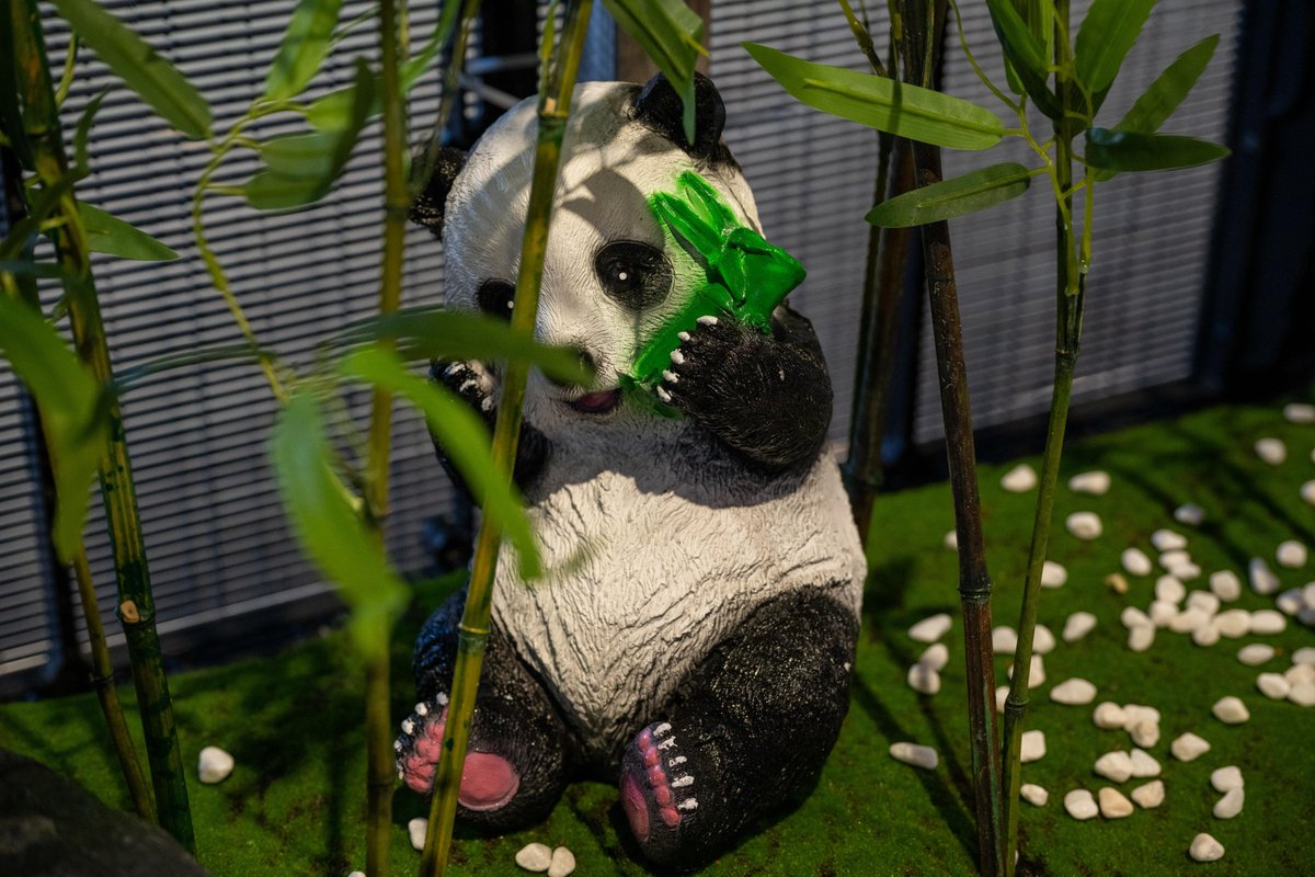 That’s a wrap on Bilibili World 2025!

A huge thank you to everyone who stopped by to experience the reveal of Sword Sage: Awakening—an  original IP developed by Sword Panda and published by 4Divinity Pte Ltd, from 11–13 July in Shanghai!

$GCL #BilibiliWorld2025