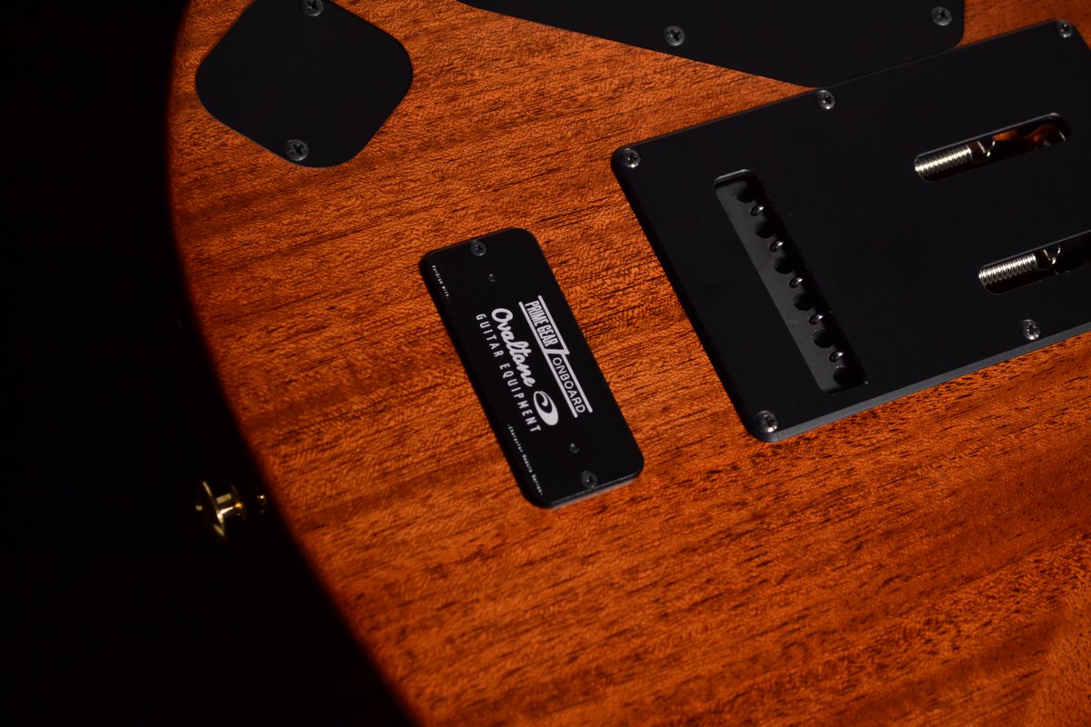 New Arrival | Black Smoker 『FUTURA-S-LTD Eucalyptus Curly maple 