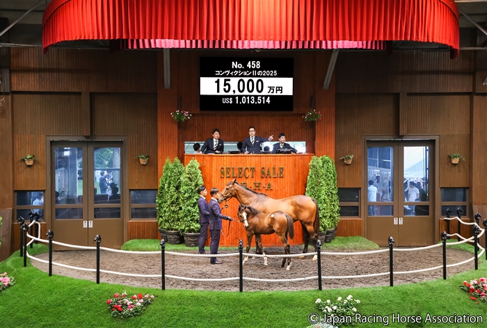 イクイノックス　実使用　調教　蹄鉄　鬣　一本付き　② イクイノックス 実使用 調教 蹄鉄 鬣 一本付き ② イク