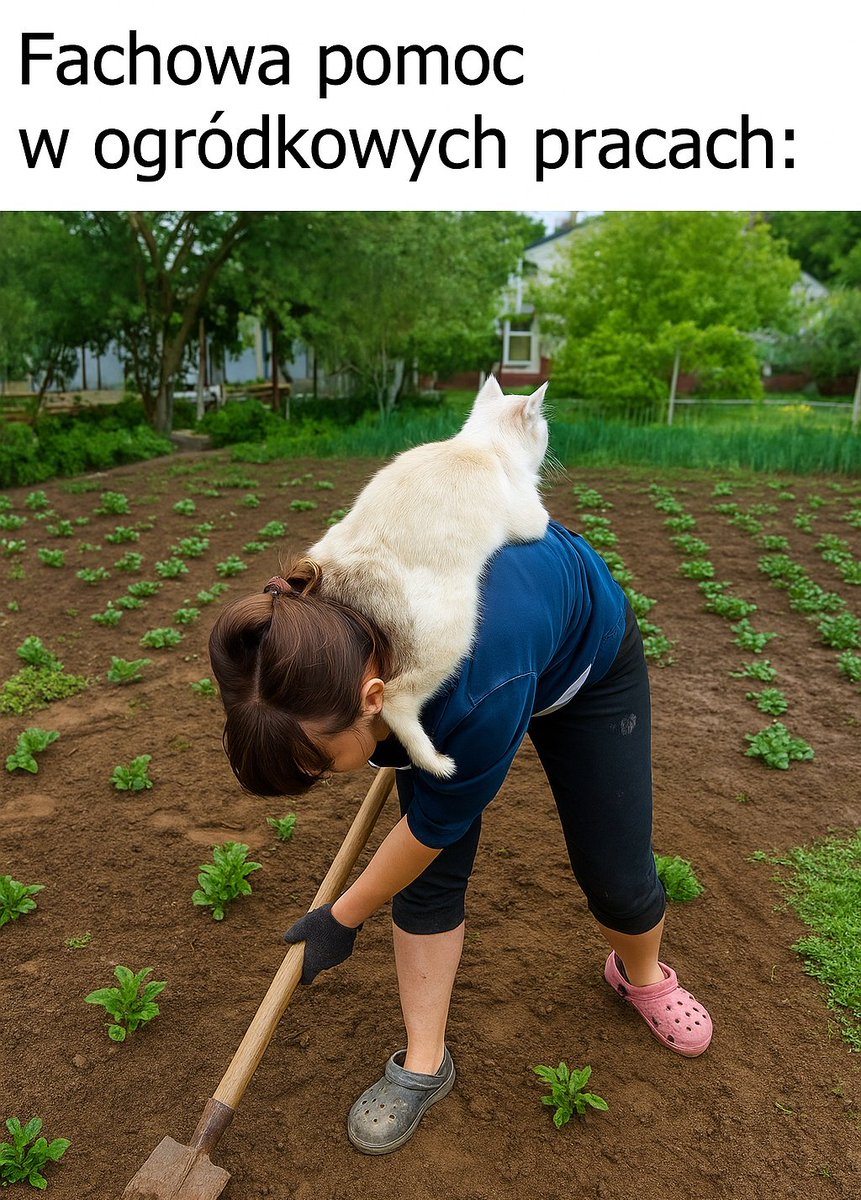 F_FELINEUS's tweet image. Miłego dnia 😊

#wtorkoweowememy #kot #cat #memy #poniedzialek #jest #trudny #zwierzeta #zprzymruzeniemoka