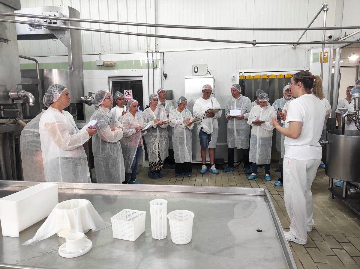 IfapaJunta's tweet image. Las visitas del itinerario formativo Maestro #Quesero 4.0 permiten a los alumnos conocer instalaciones y equipos en #industrias queseras y #cuevas de afinado🧀
Los profesionales del sector comparten experiencias y retos del #queso artesanal para acercar la realidad del #oficio