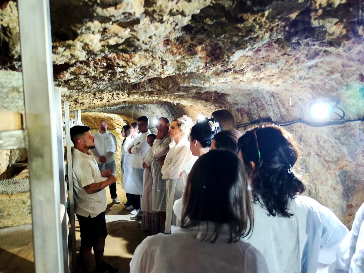 IfapaJunta's tweet image. Las visitas del itinerario formativo Maestro #Quesero 4.0 permiten a los alumnos conocer instalaciones y equipos en #industrias queseras y #cuevas de afinado🧀
Los profesionales del sector comparten experiencias y retos del #queso artesanal para acercar la realidad del #oficio
