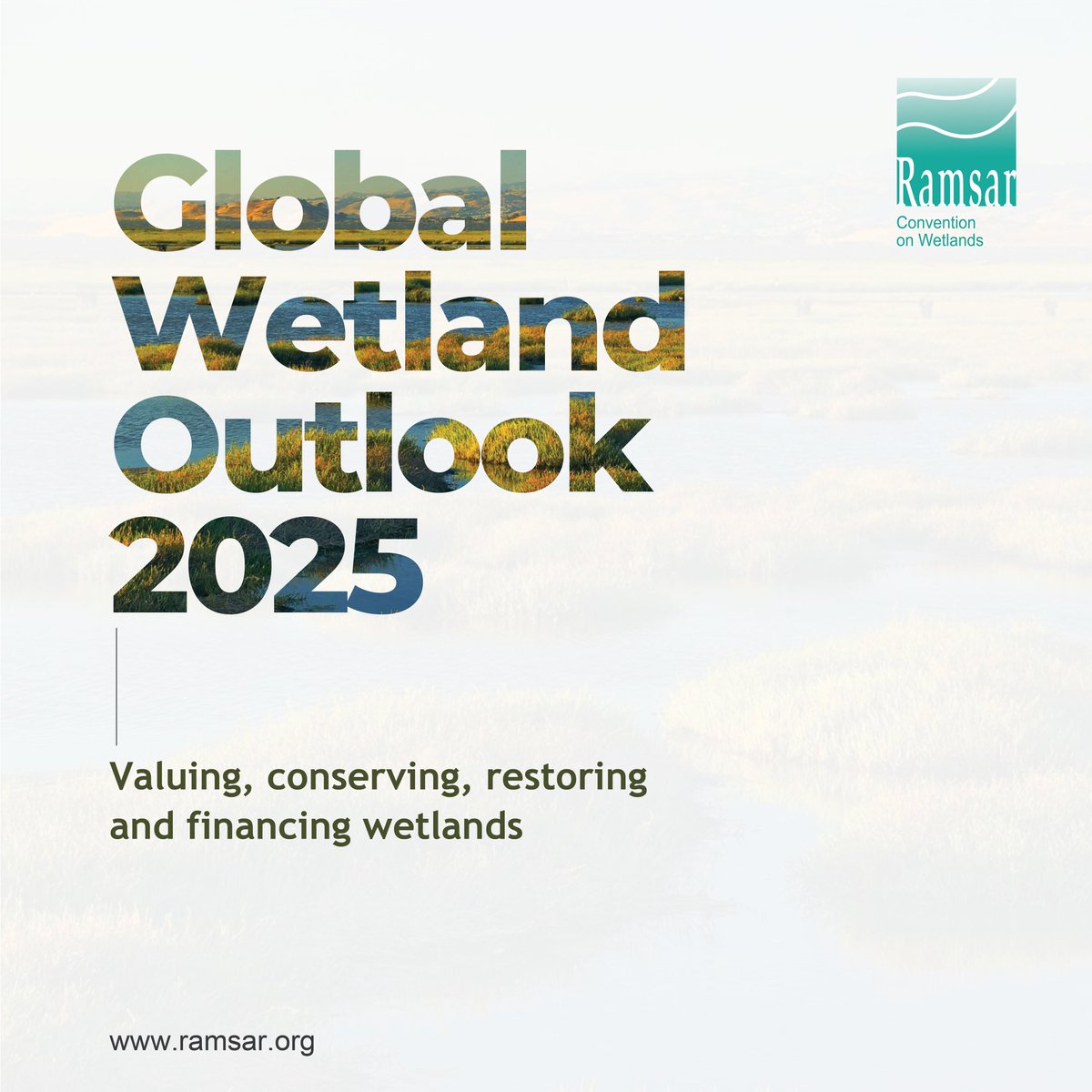 WetlandsIntEA's tweet image. Global Wetland Outlook 2025 launches today — 13:00 EAT at UNON, Nairobi. The report reveals the cost of wetland loss, key policy gaps & the urgent investment needed to restore nature for climate, water & biodiversity.
🔗 To Register: shorturl.at/3kViK
#FinancingWetlands