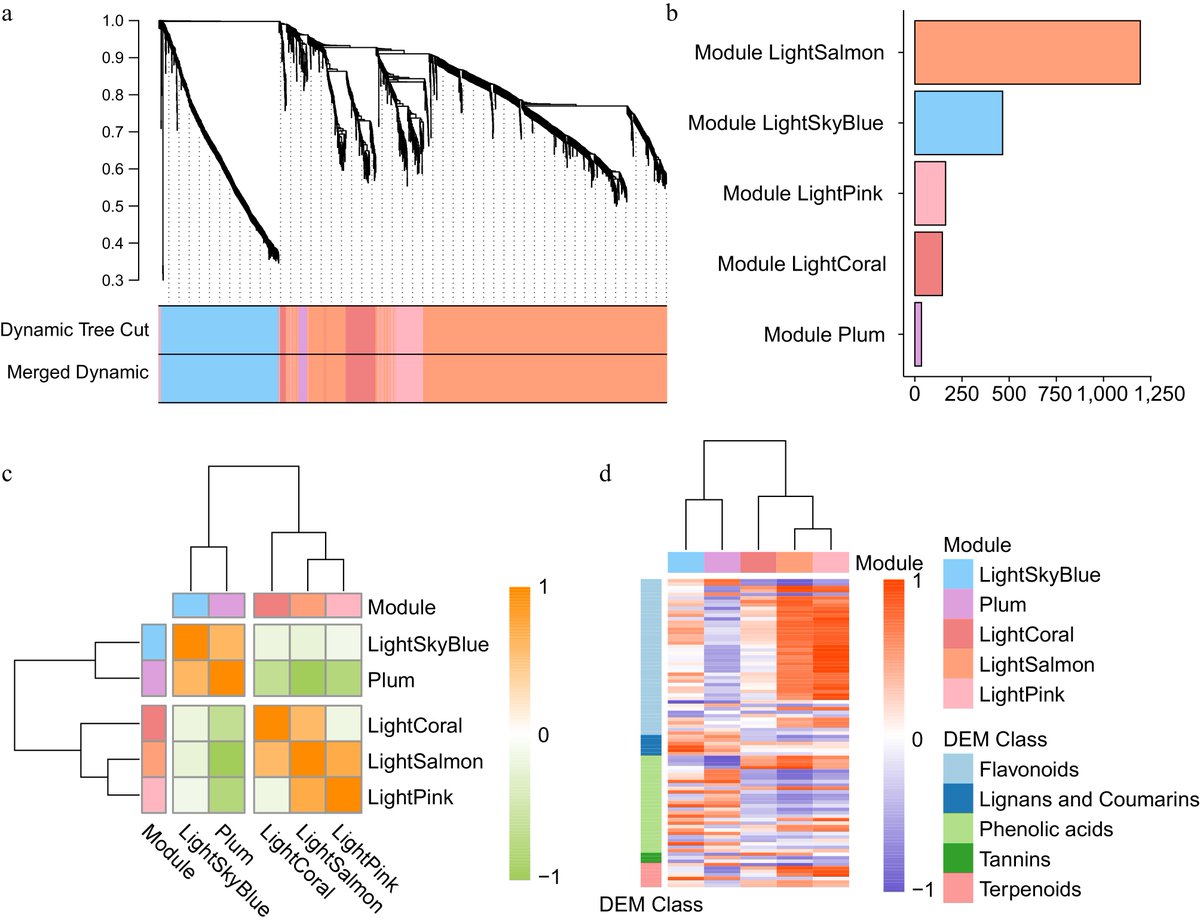MaximumAcademic's tweet image. #MPB
Flavonoid biosynthesis in Cornus wilsoniana linked to gene expression and metabolic shifts during flower bud development. Study explores regulatory mechanisms. 🌿 
@HortiPlant @NewPhyt @sci_plant #Flavonoids #SecondaryMetabolites
 Details: maxapress.com/article/doi/10…