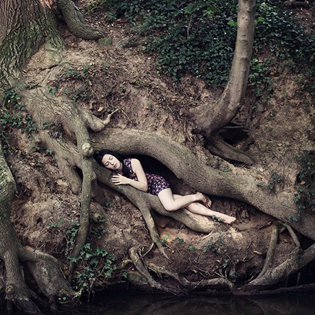 LadyLeo1976's tweet image. Trees give peace to the Soul. 

📷 Katja Kemnitz
#ThickTrunkTuesday 🌳