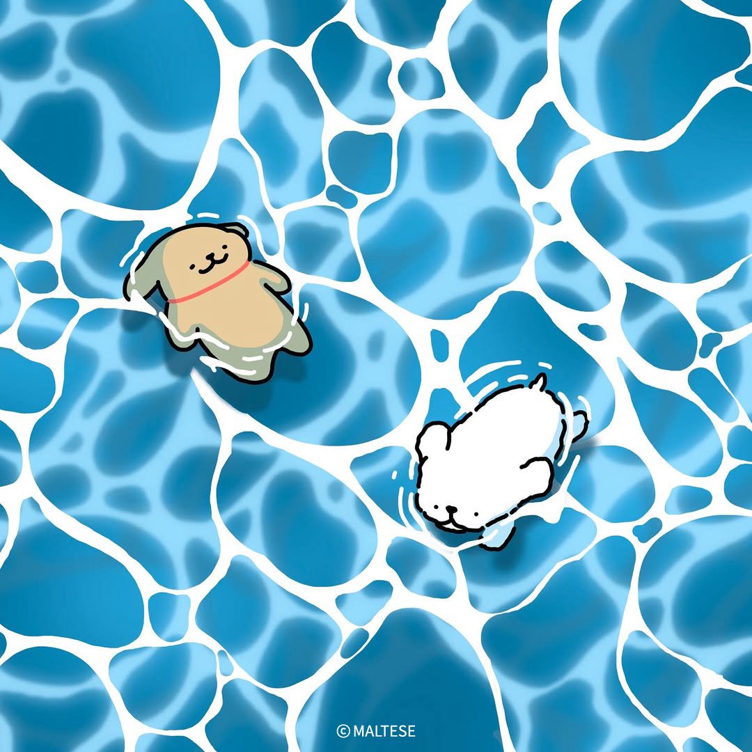maltese_jp's tweet image. 海の季節🌊