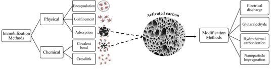 📚 Read our #published Article "#Proteases: Importance, Immobilization Protocols, Potential of Activated Carbon as Support, and the Importance of Modifying Supports for #Immobilization" by Dr. Flores Santos et al.    

👉Access the full text at:  
mdpi.com/2673-6284/13/2…