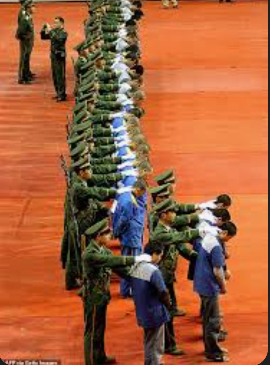 VoWSilla's tweet image. The Quisling Parliament

How Britain Was Hijacked By Foreign Masters, Billionaire Meddlers, and Traitors in Suits

By @StanVoWales, Voice of Wales

Remember when Britain stood tall? When our laws were made in Westminster, our borders meant something, and our politicians worked…