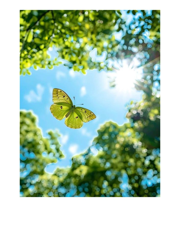 اللي ينتظر المثالية، يضيع عليه العمر👌

#مهرجان_ليوا_للرطب #صباح_الخير
#عمان_للجمال_عنوان #صباح_الاشياء_المشرقه