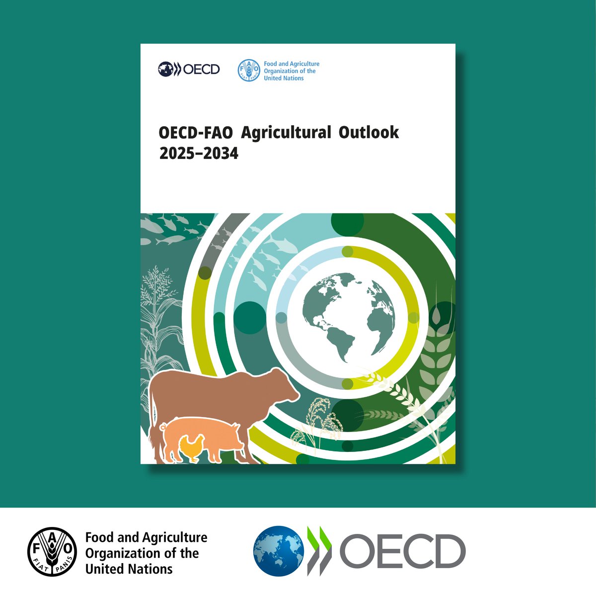 📢 Now available!

<a href="/OECD/">OECD ➡️ Better Policies for Better Lives</a>-<a href="/FAO/">Food and Agriculture Organization</a> Agricultural Outlook 2025–2034 brings together commodity, policy &amp; country expertise, along with input from Members, to assess 10-year prospects for agricultural commodity markets.

📗 openknowledge.fao.org/handle/20.500.…

#AgOutlook
