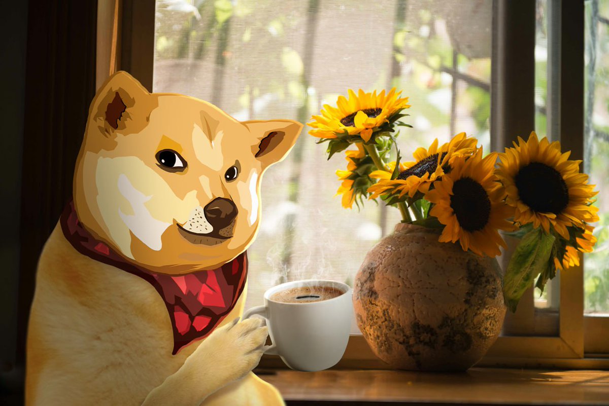 neiro's tweet image. Good morning, Neiro family!
