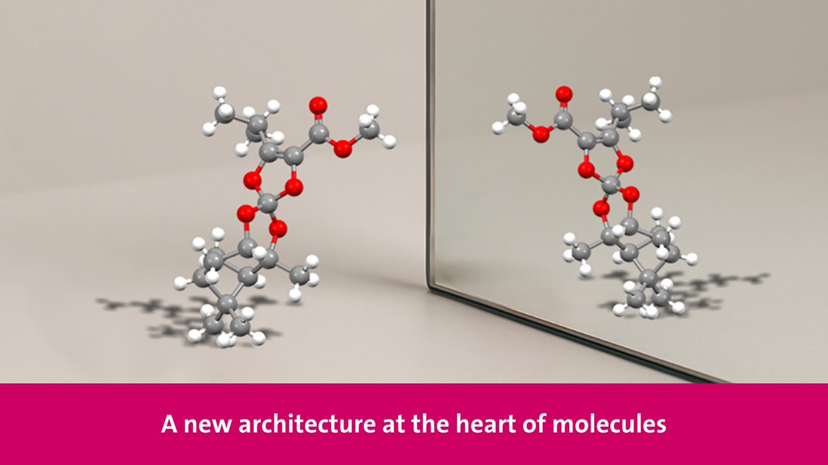 unige_en's tweet image. 🧬A team from the UNIGE, in collaboration with @Unipisa, has developed a new family of remarkably stable chiral molecules. This opens up new perspectives for the design of geometry-controlled drugs.
🔗 ow.ly/QQkt50WpIpr
@LACOUR_UNIGE @sciences_UNIGE
#chemistry #research