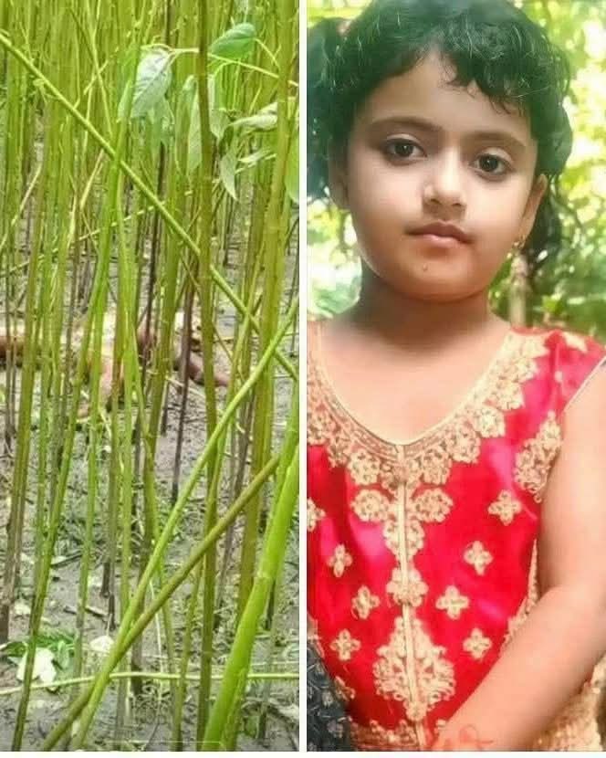 tathagata2's tweet image. বাংলাদেশে আরো একটি মর্মান্তিক হিন্দুহত্যার ঘটনা।
 
ফুটফুটে এই বাচ্চা মেয়েটা ৫ দিন যাবত নিখোঁজের পর  গতকাল  তার অর্ধগলিত দেহ পাওয়া গেছে বাড়ির পাসের একটি পাট ক্ষেতে। 
 বাবা মা স্পষ্ট বলে দিয়েছিল দরকার হলে বাড়ি বিক্রি করে দিবে যদি কেউ যদি সন্ধান দিতে পারে, 
কতটা নির্মম 
গ্রাম :…