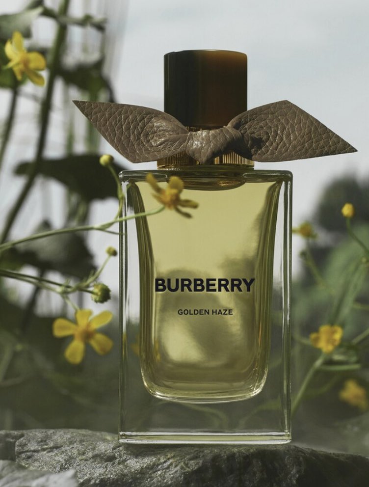 #رابطة_عشاق_العطور

عطر مثالي لمن يبحث عن لمسة من التجدد الصيفي بنكهة راقية وخفيفة

عطر Golden Haze Burberry
جديد 2025 ضمن مجموعة Signatures – Extreme Botanicals  

مستوحى من زهرة marsh marigold ممثلة لتوازن رائع بين قوة الطبيعة ورقتها  

#اعتزاز