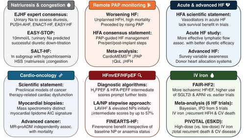 What's new in heart failure? June 2025

This month's newsletter highlights key updates in heart failure (HF) research, including congestion management, remote pulmonary artery pressure (PAP) monitoring, acute and advanced HF care, cardio-oncology, HF with mildly reduced and