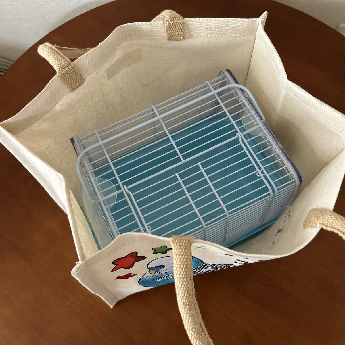 buncho_honey's tweet image. メルカリでご購入頂いた方にもれなくついてくる鳥沼フライヤーです🎁そして新商品トートバッグ追加しました🦜SANKOさんのいっしょにおでかけ ウィズキャリーMが入るサイズです👍破壊おもちゃパーツも追加したので見てね👀
jp.mercari.com/user/profile/2…