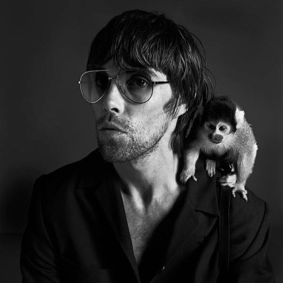 If you put your cameras down you might be able to live in the moment.     
                                         Ian Brown