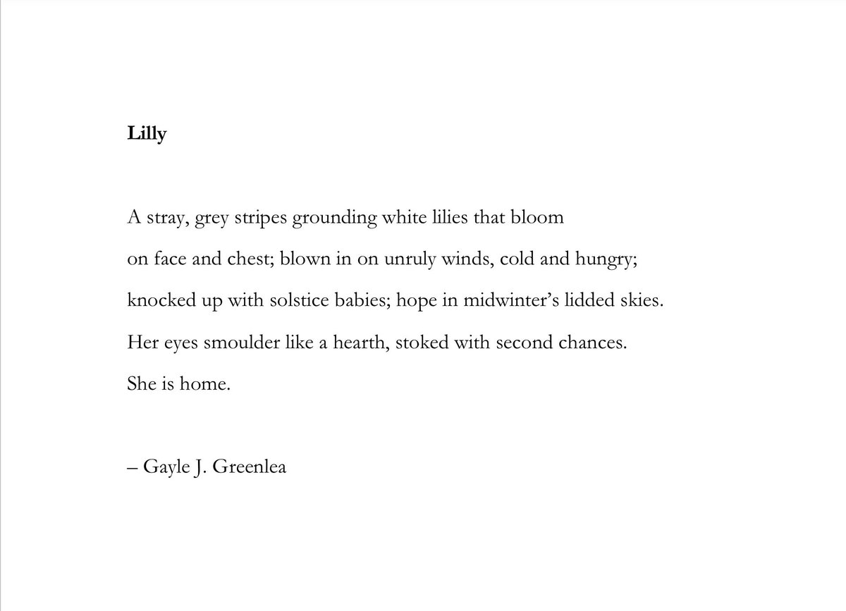 Greetings, Poets! My quadrille features Lilly, birthday gift from the Universe and my sweet husband. Much gratitude to host <a href="/kim88110/">Kim Russell</a>, <a href="/MatthewMCSmith/">Matthew M C Smith</a> and <a href="/blackboughpoems/">Black Bough Poetry / Barddoniaeth Y Gangen Ddu</a>. <a href="/TopTweetTuesday/">TopTweetTuesday</a>