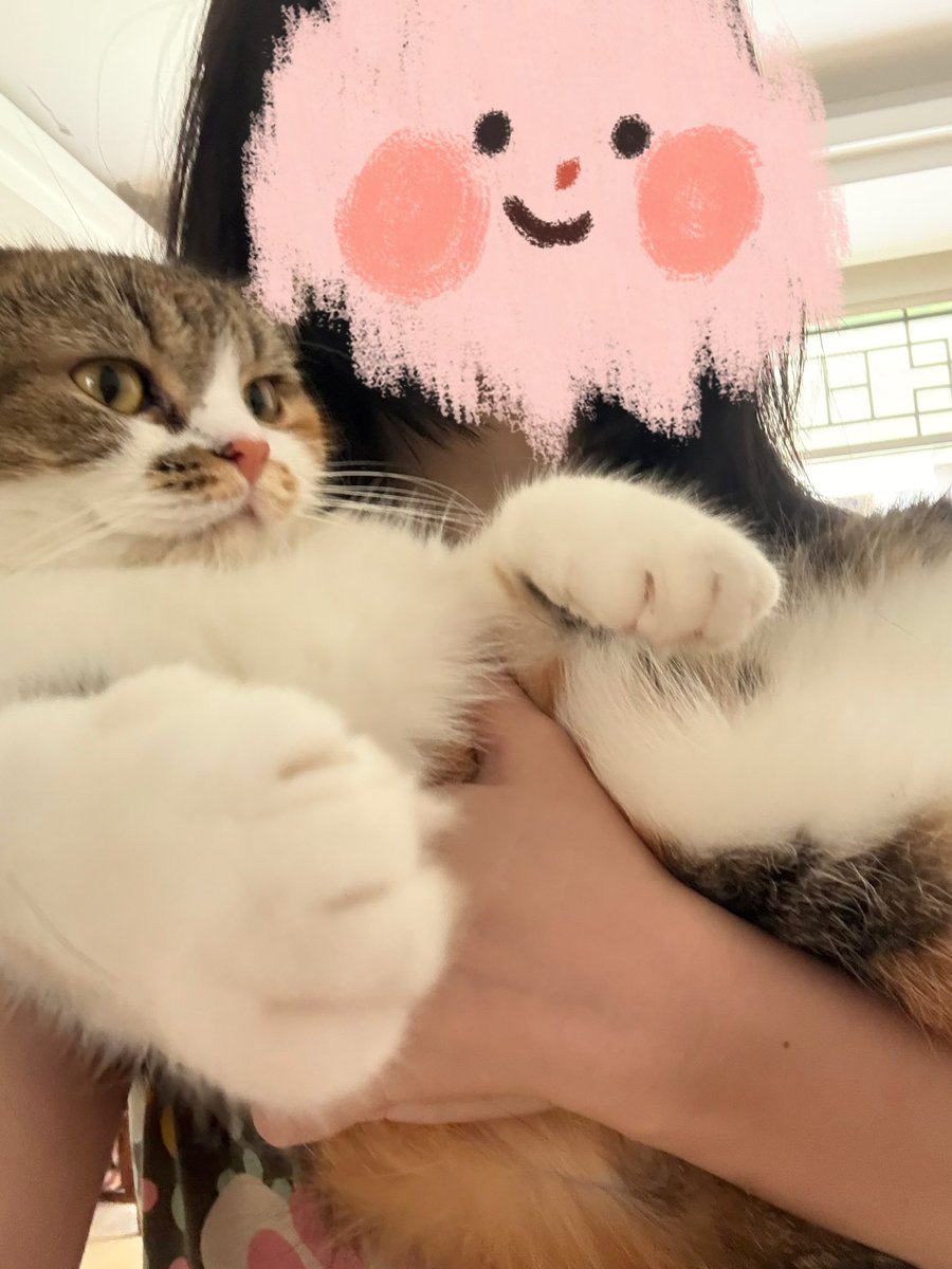Muyihui1's tweet image. 着拳头能打死人了…………