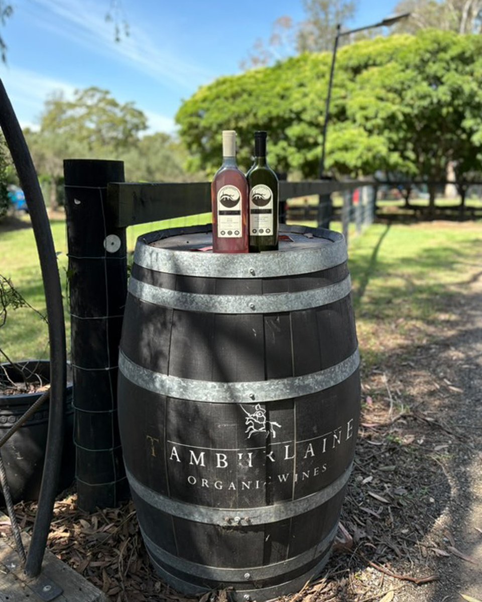 Packamama tweet media