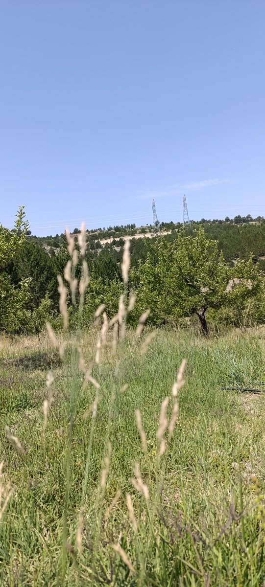 Hayat akıp gitmekte