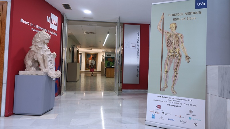 Fundacion_UVa's tweet image. 💡Te proponemos un plan 'fresquito' para las mañana de verano en Valladolid
📍Museo de la Universidad de Valladolid (Edificio Rector Tejerina. Pza. Sta. Cruz, 6)
💀Expo ‘Aprender Anatomía hace un siglo’
🕚de 11.00 a 14.00h.
🔒Cerrada del 1-17 de agosto